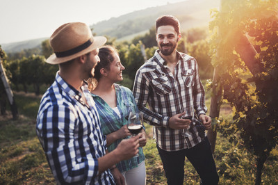 winetrends.jpg
